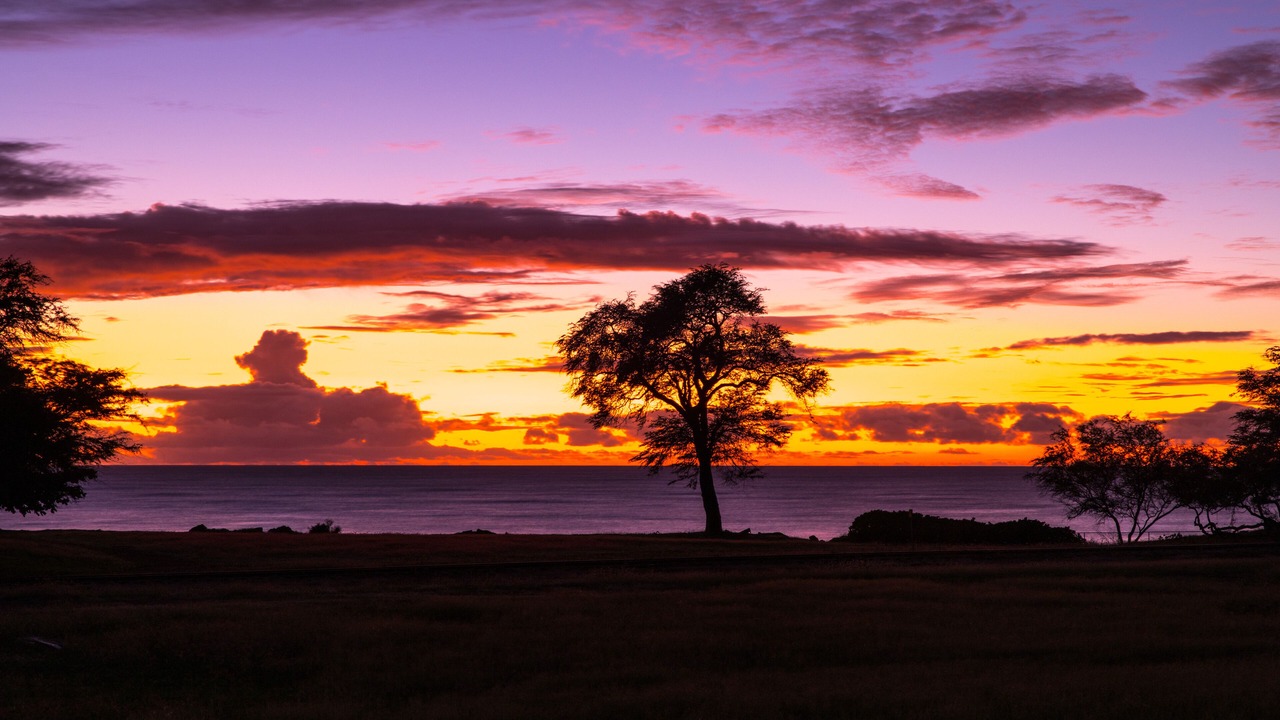 Photo of Outdoor in Ko Olina