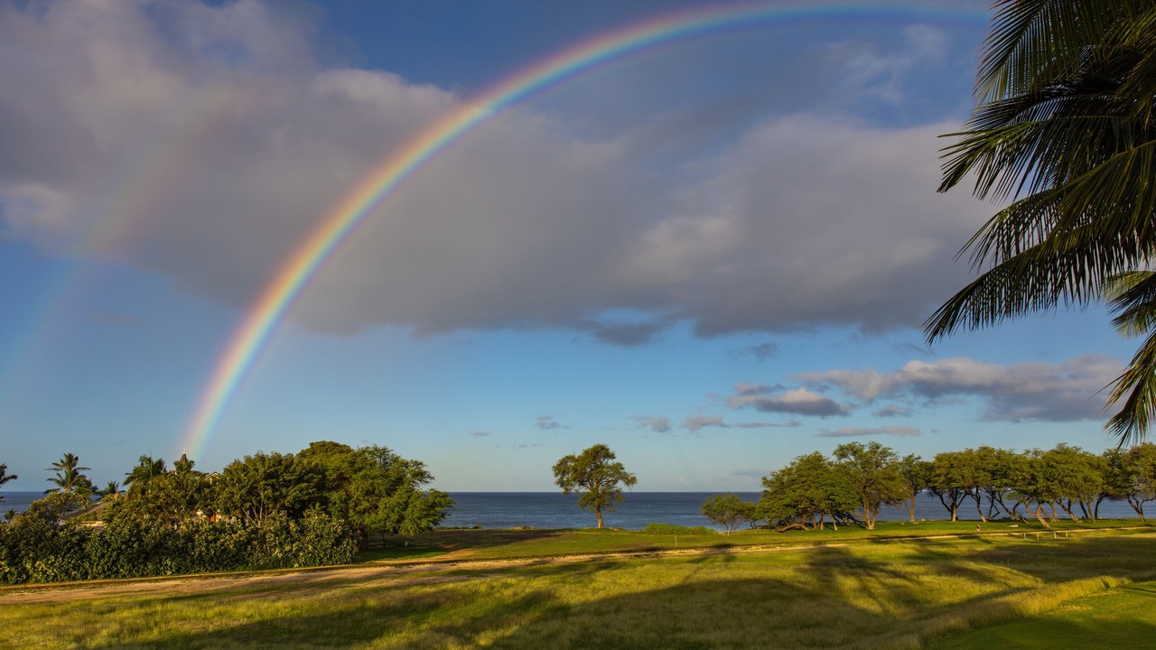 Photo of Others in Ko Olina