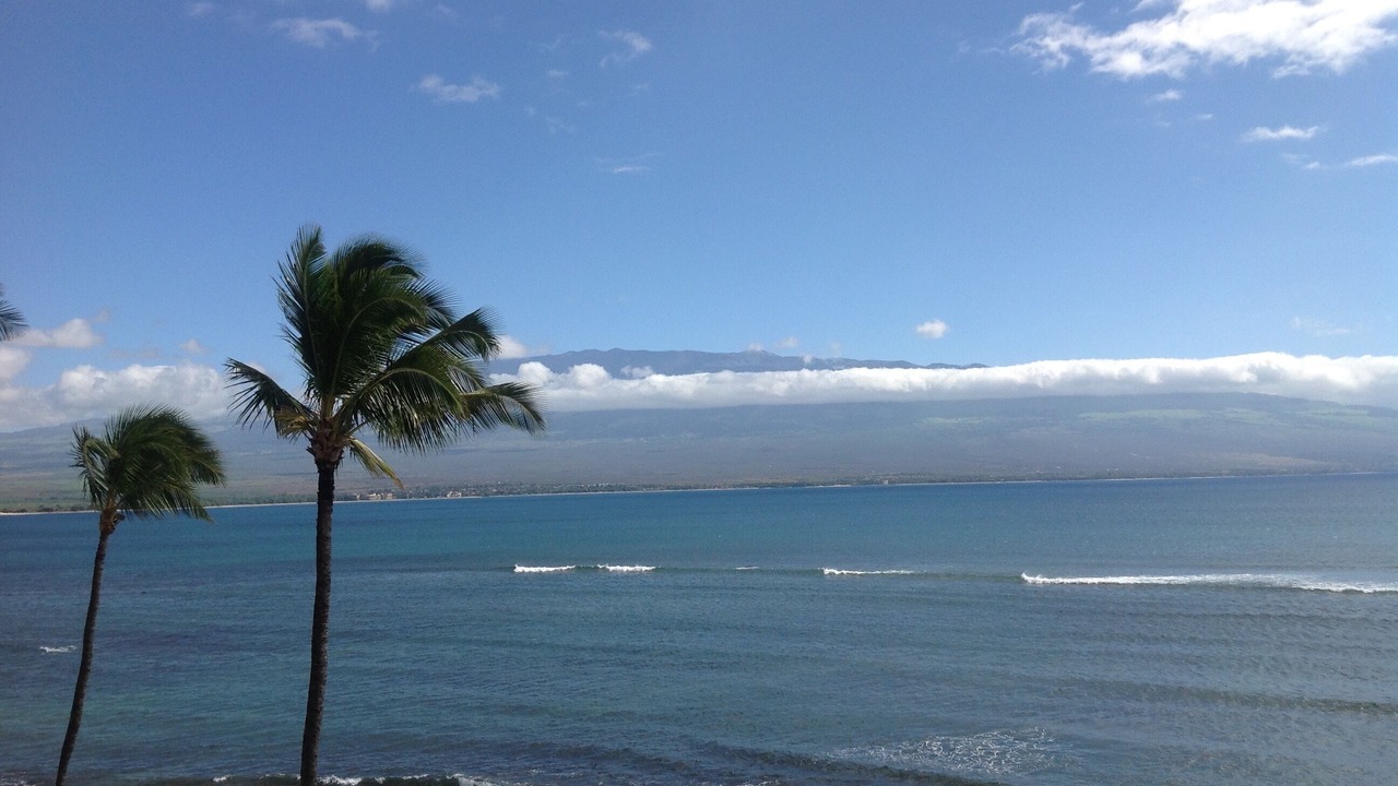 Photo of Others in Maalaea