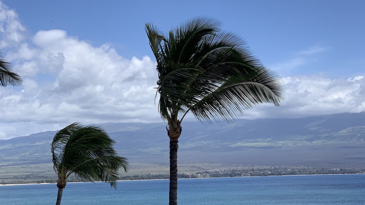 Photo of Others in Maalaea