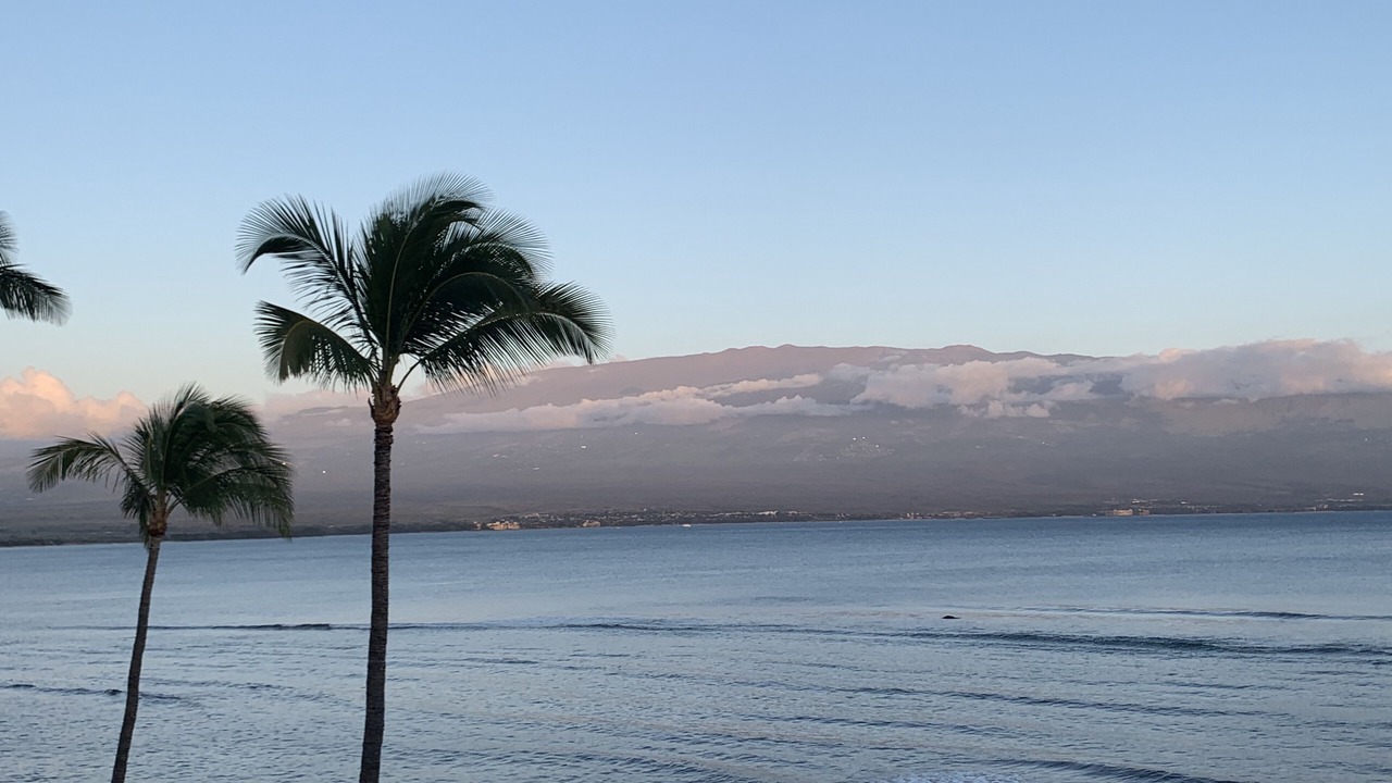 Photo of Others in Maalaea