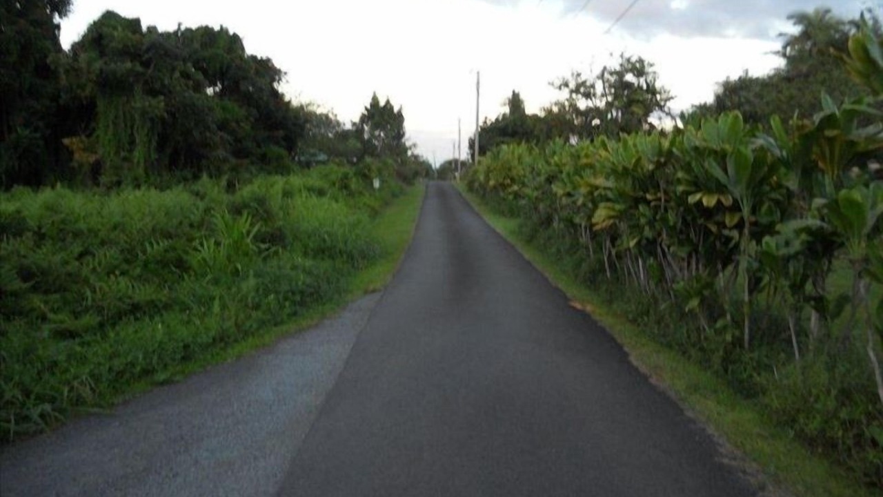 Photo of Others in Papaikou
