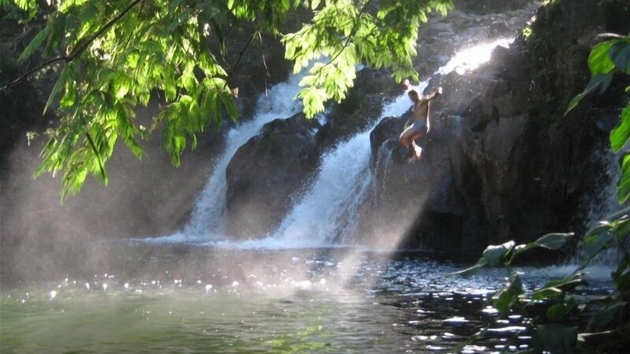 Photo of Others in Papaikou