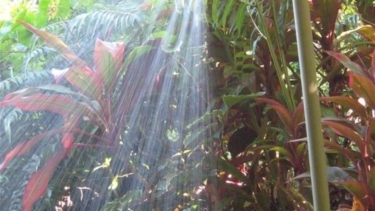 Photo of Outdoor in Papaikou
