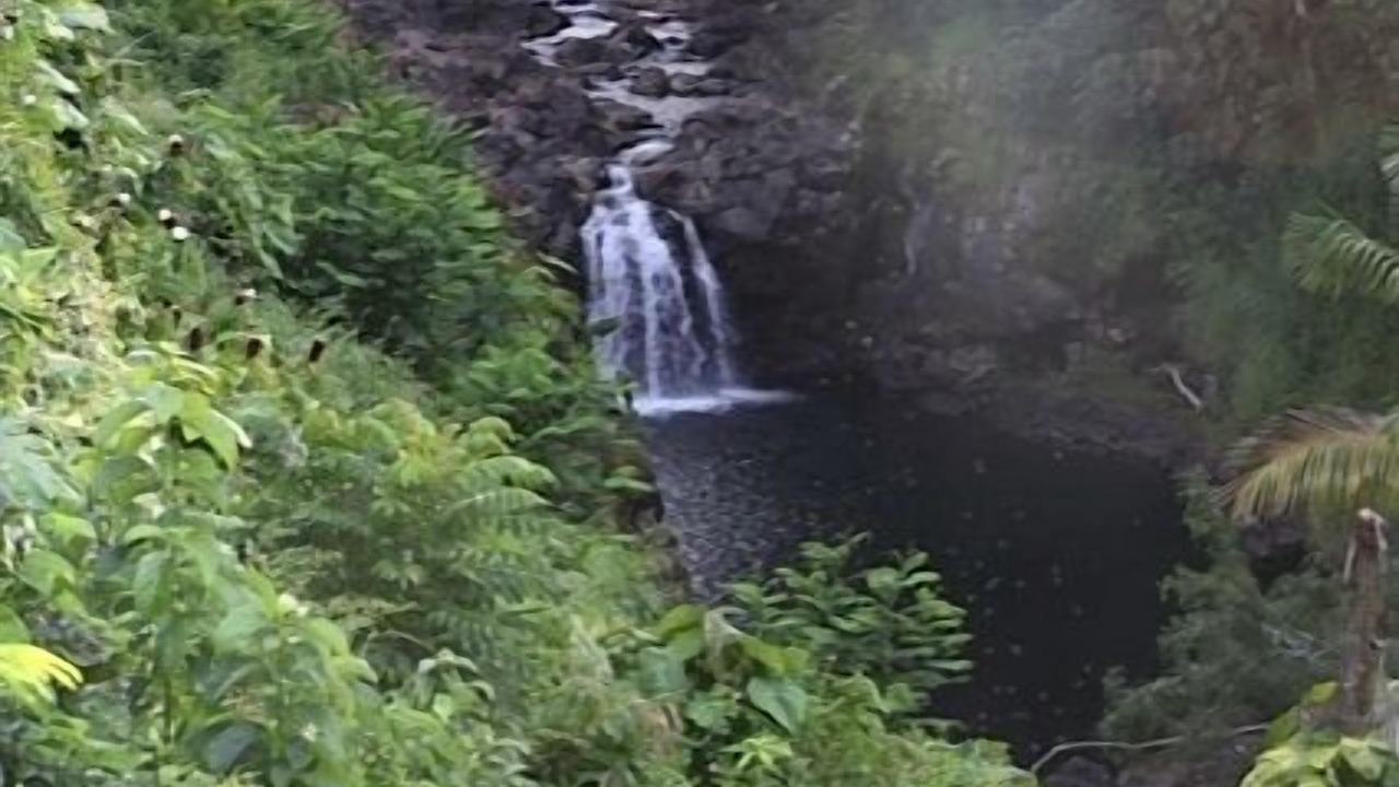 Photo of Others in Hilo