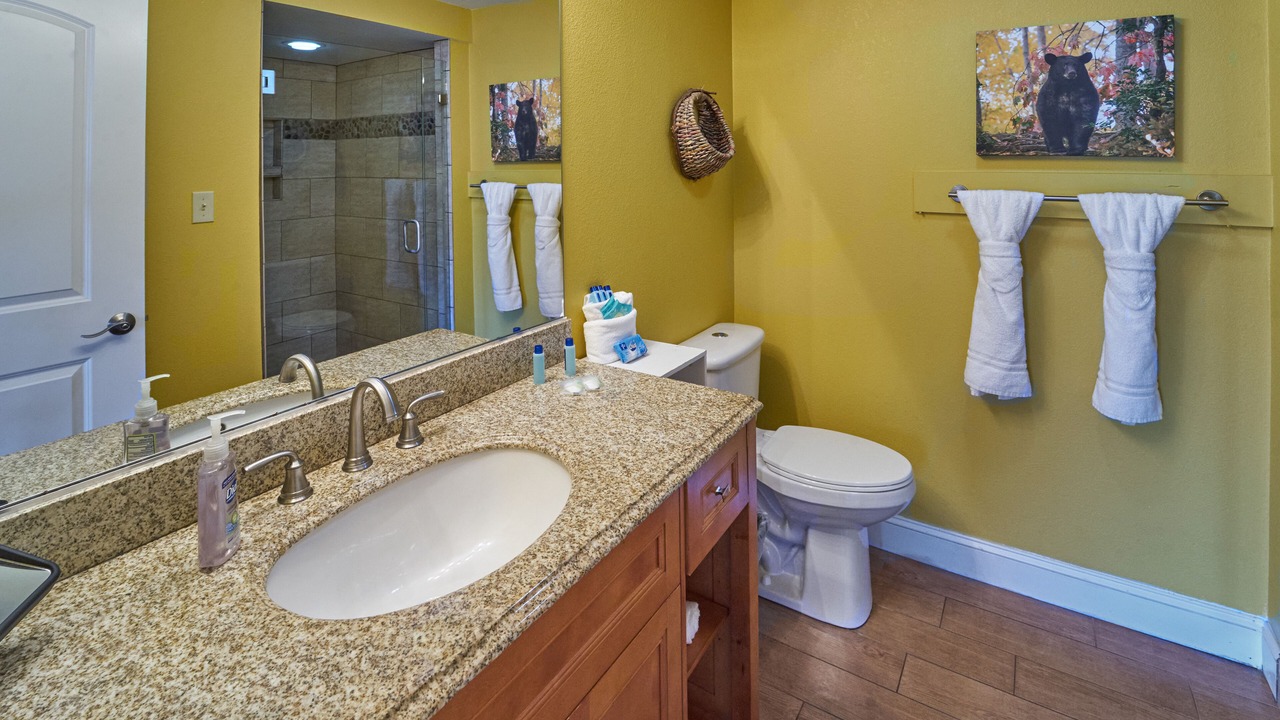 Photo of Bathroom in Gatlinburg
