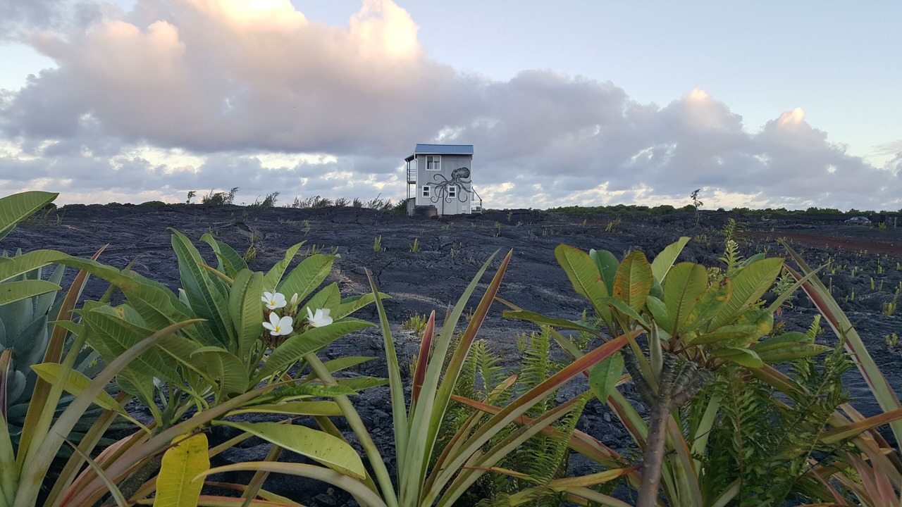 Photo of Others in Kalapana