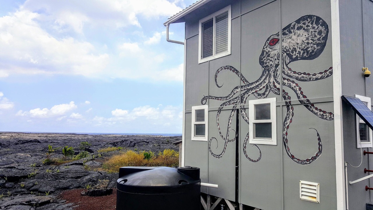 Photo of Others in Kalapana