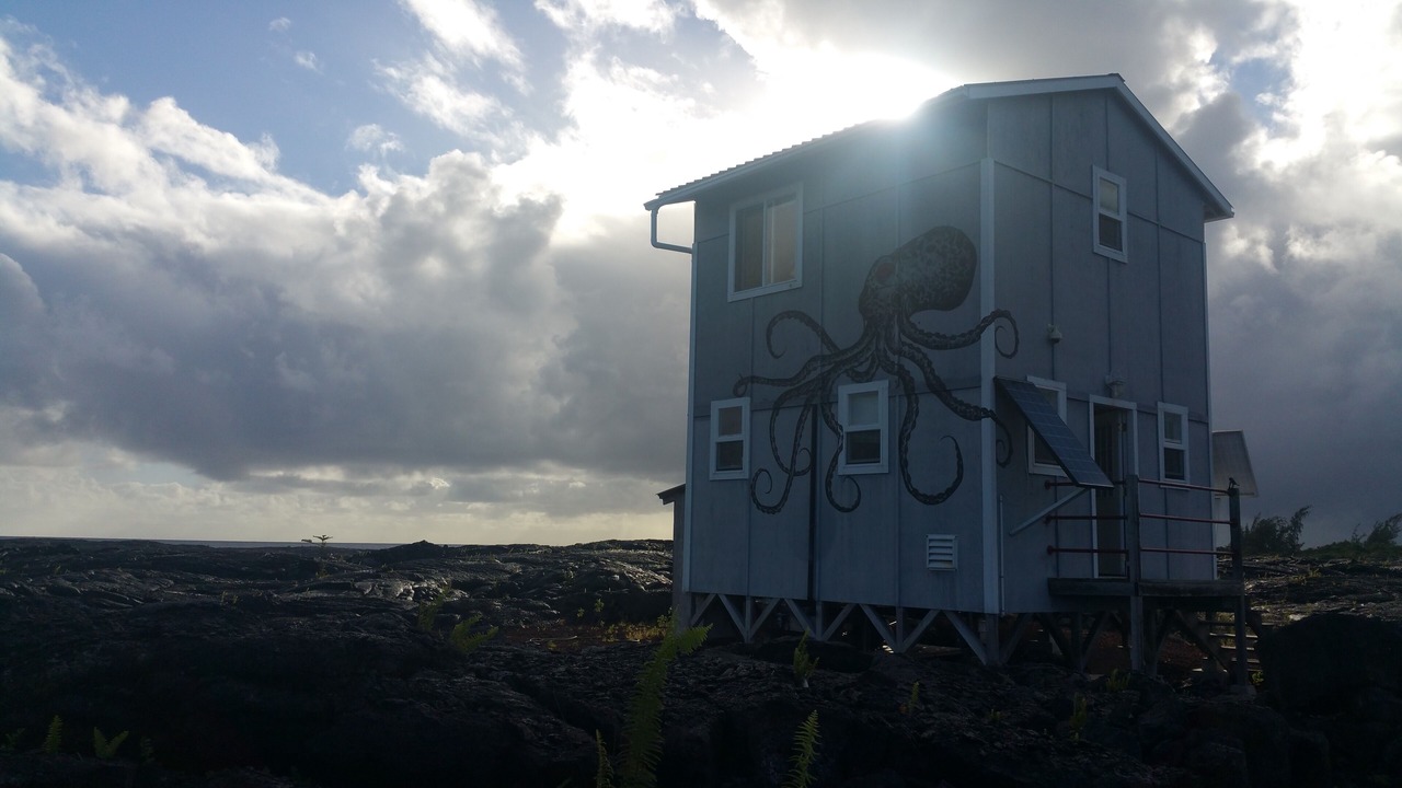 Photo of Outdoor in Kalapana