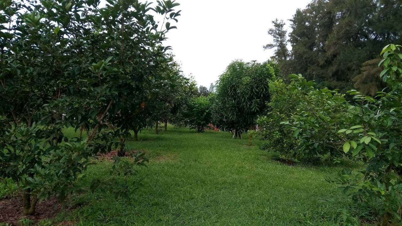 Photo of Others in Keaau