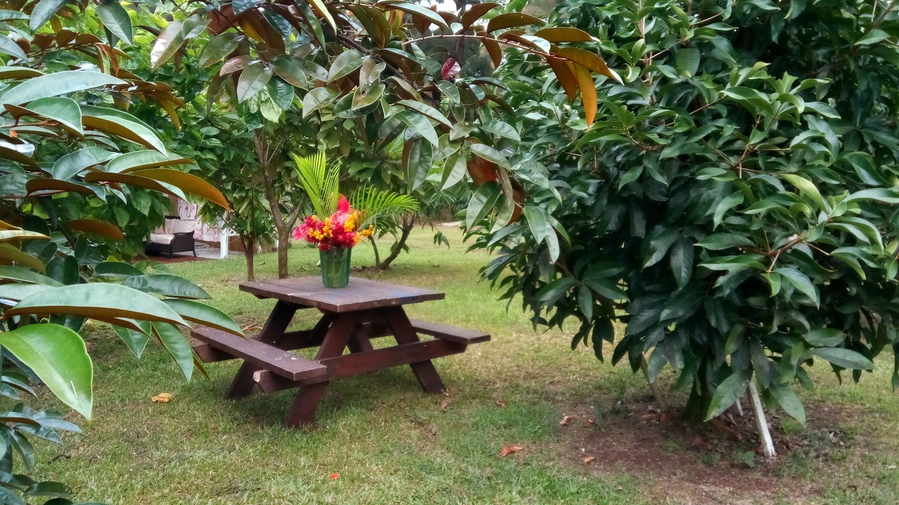 Photo of Outdoor in Keaau