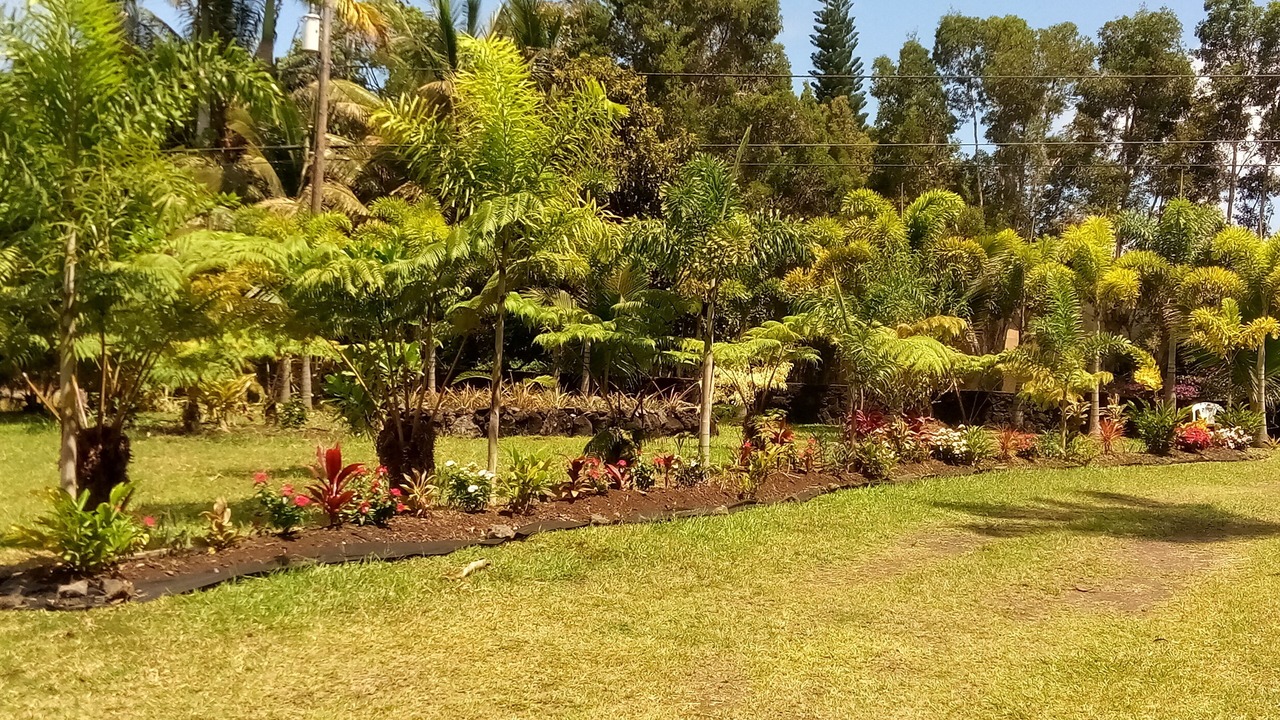 Photo of Outdoor in Keaau
