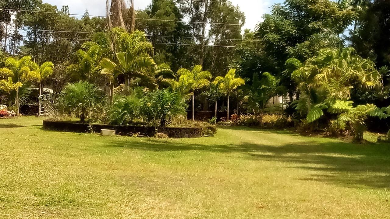 Photo of Outdoor in Keaau