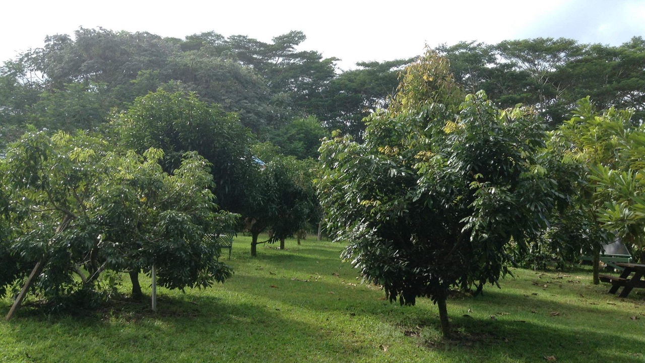 Photo of Others in Keaau