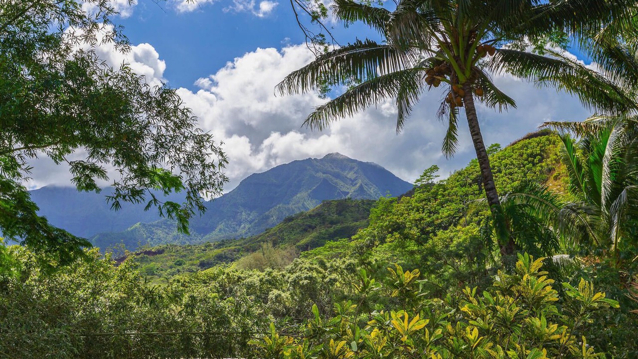 Photo of Outdoor in Hanalei