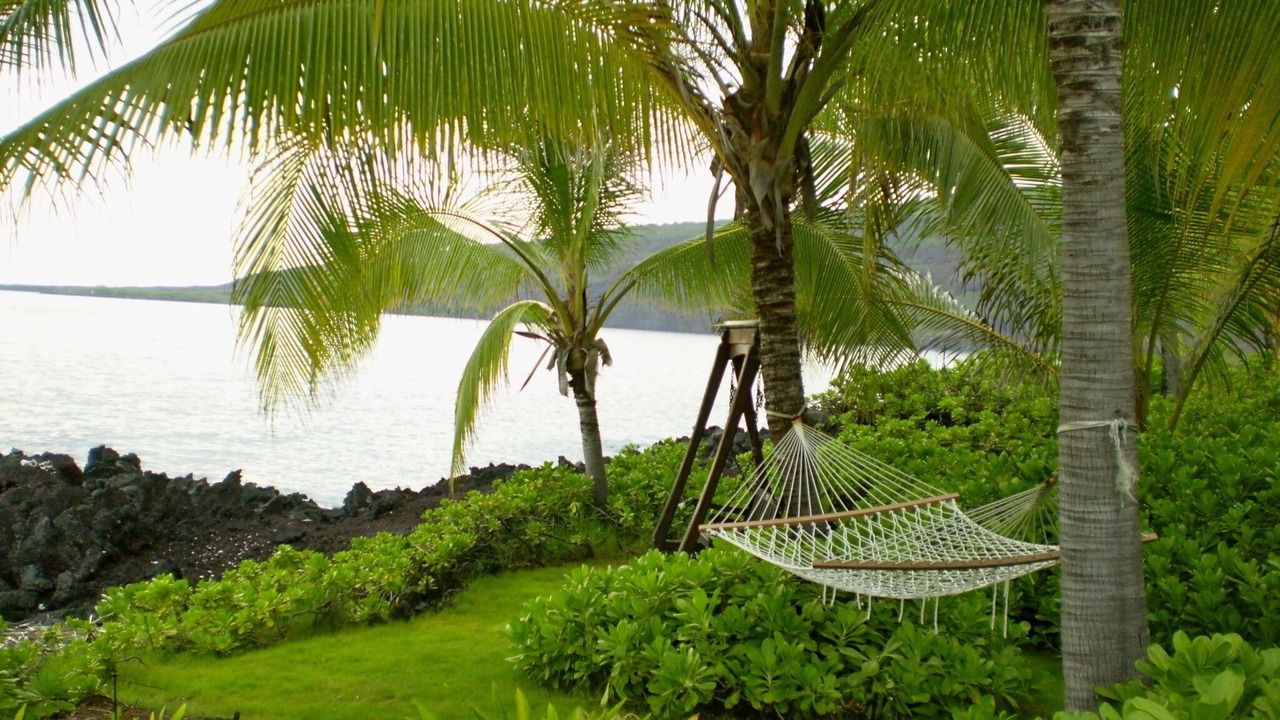 Photo of Others in Honaunau-Napoopoo