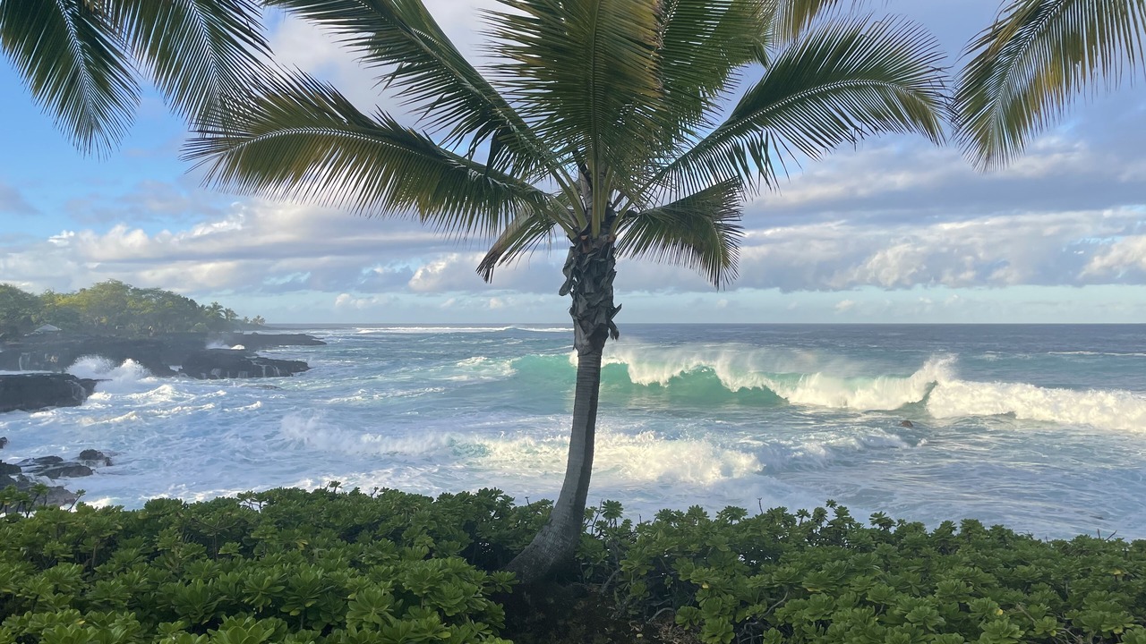 Photo of Others in Honaunau-Napoopoo