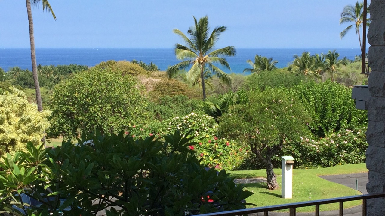 Photo of Others in Keauhou
