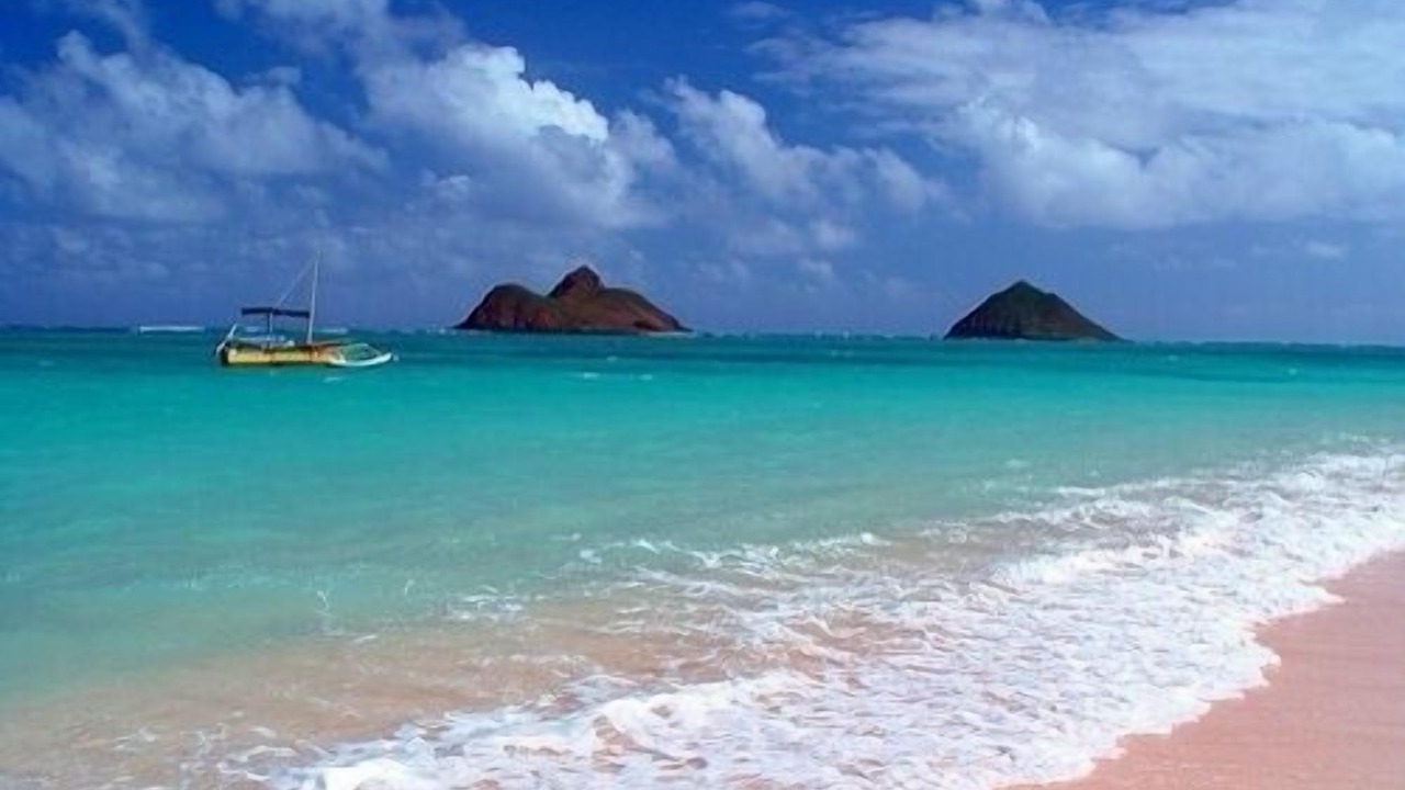 Photo of Others in Portlock