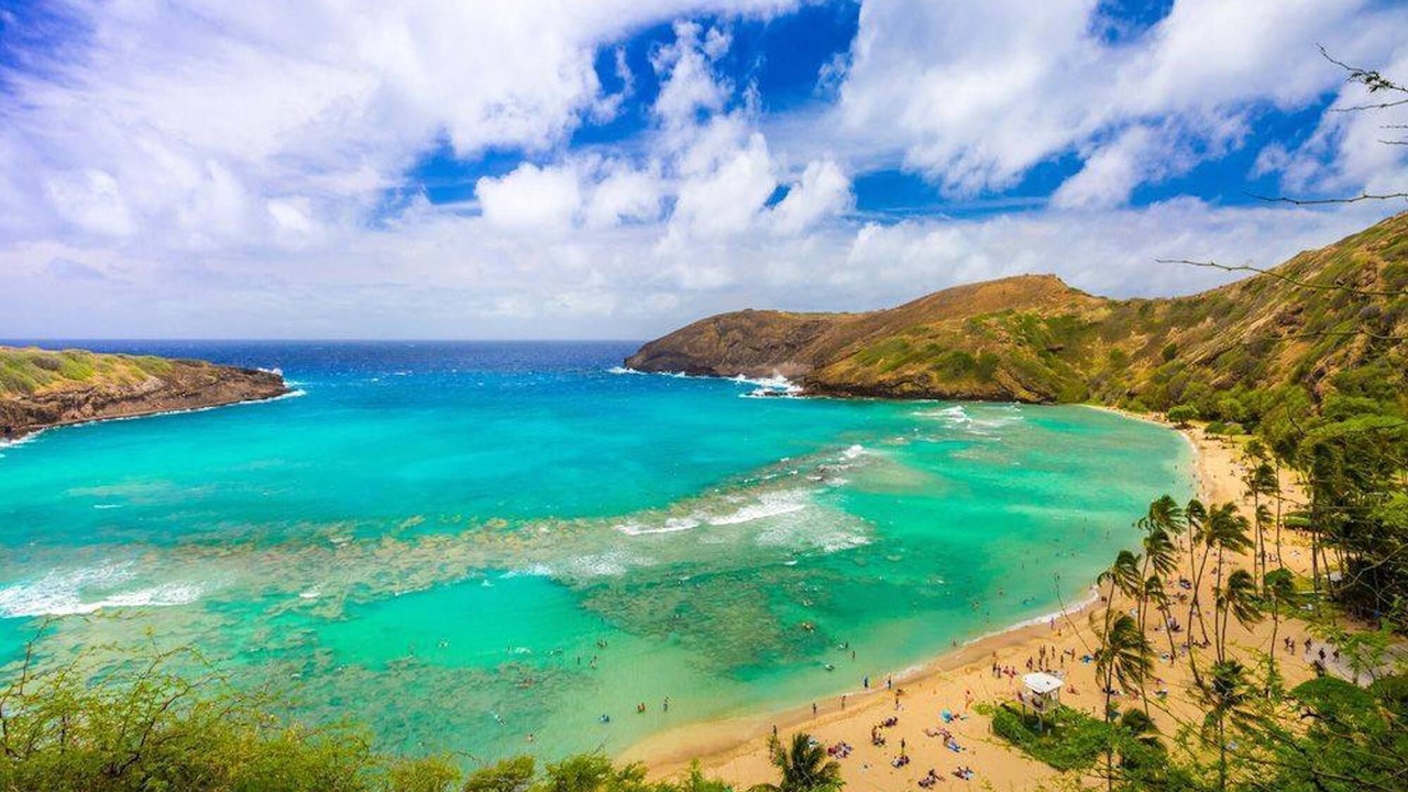 Photo of Others in Hawaii Kai