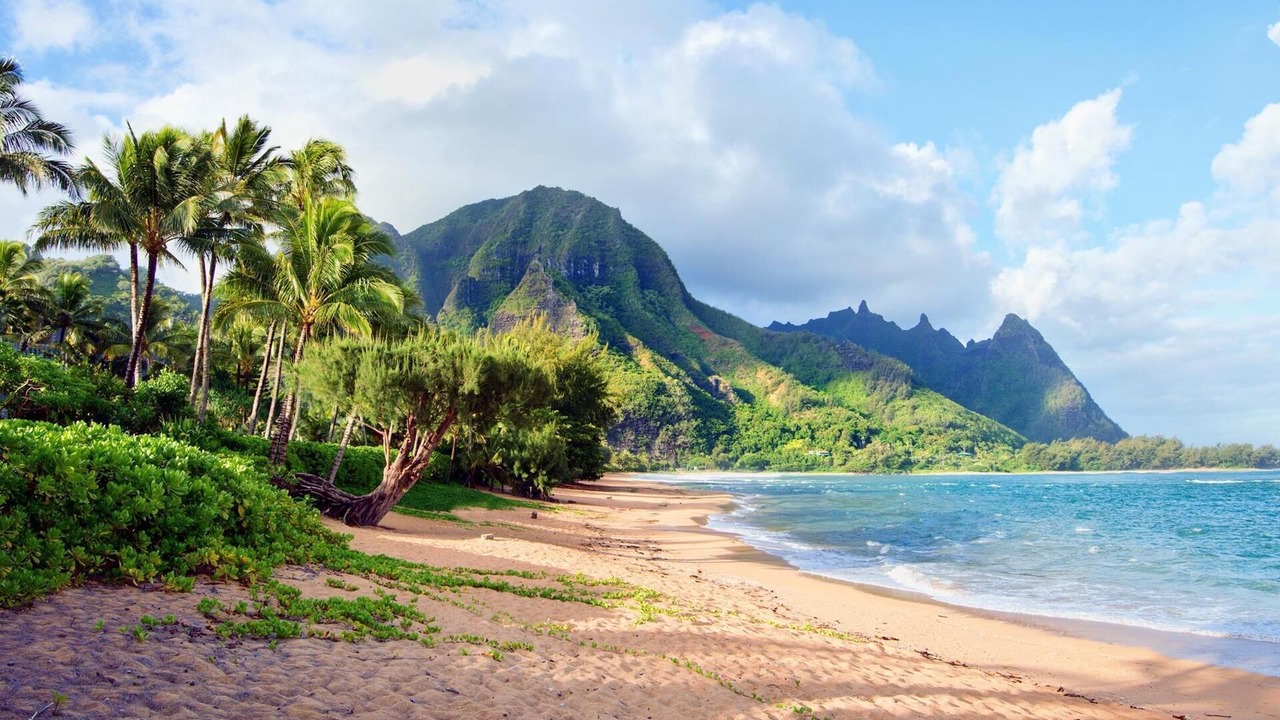Photo of Others in Hawaii Kai