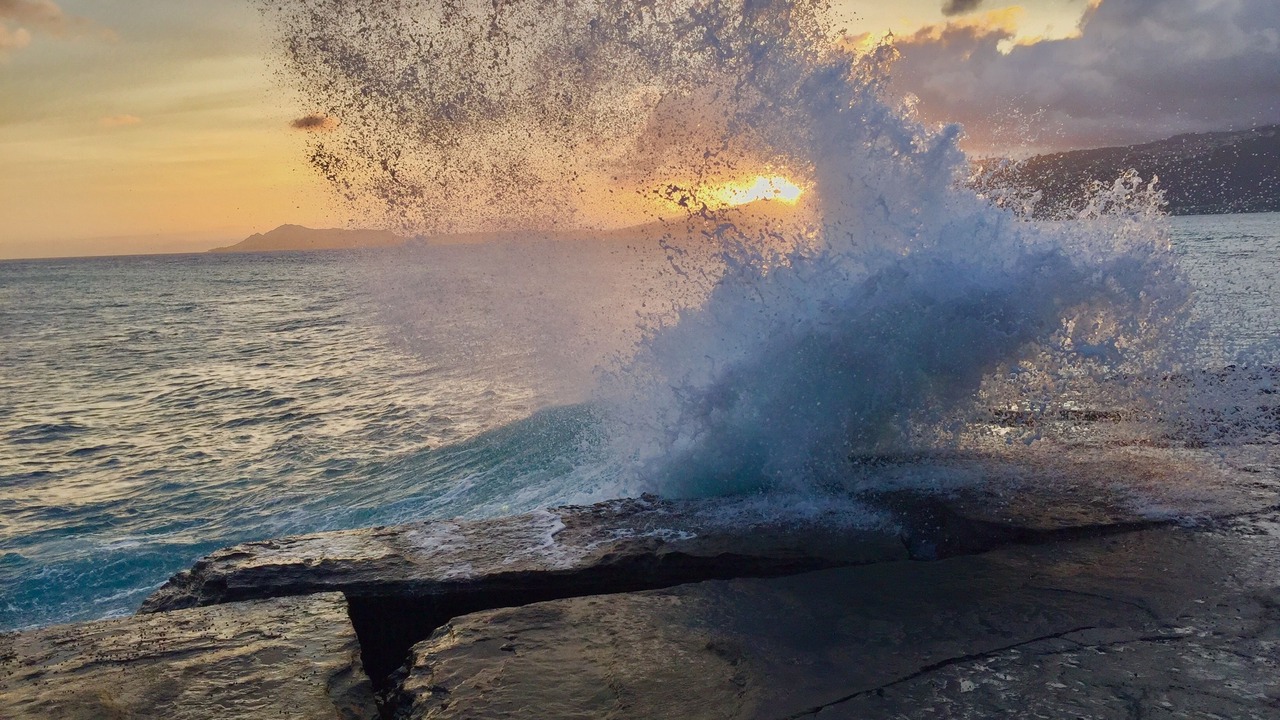 Photo of Others in Hawaii Kai