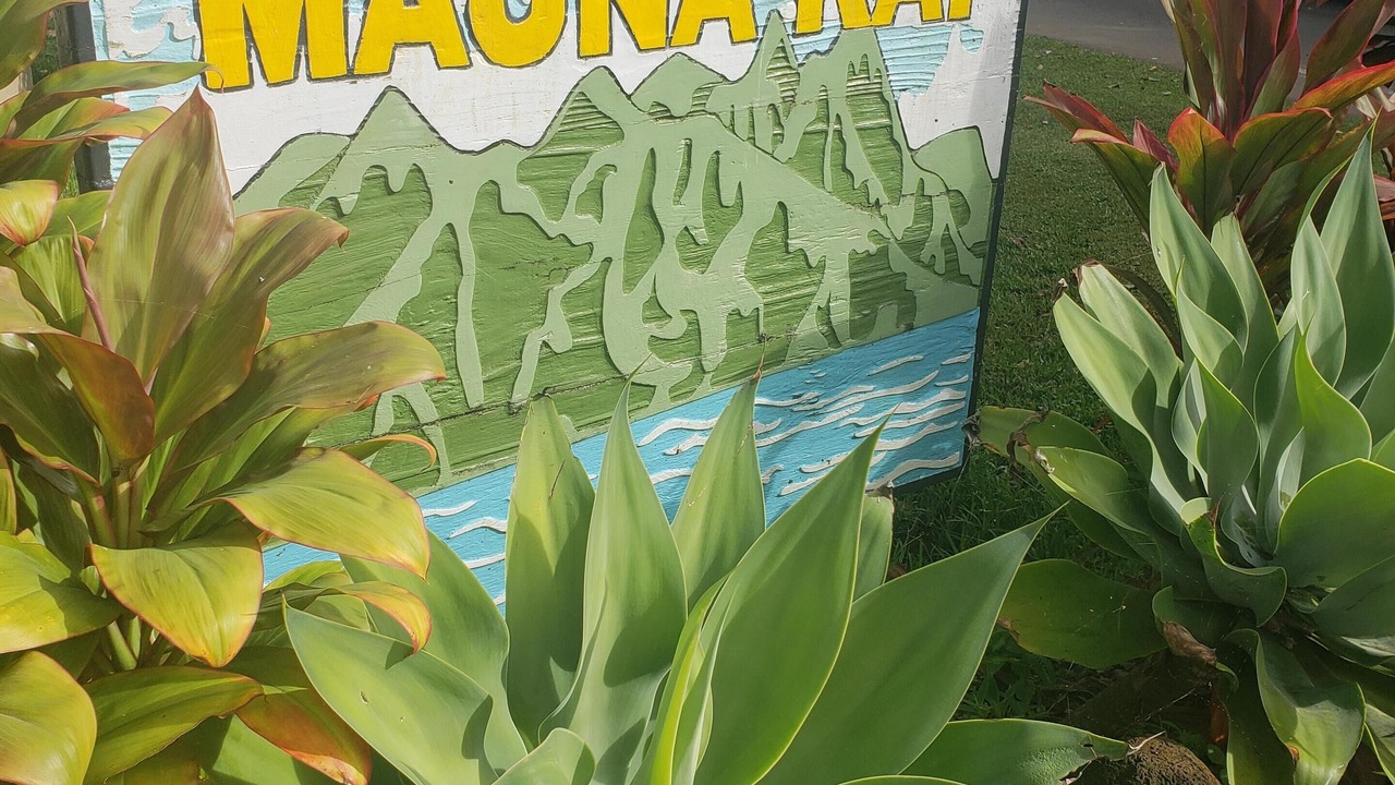 Photo of Outdoor in Kaiulani