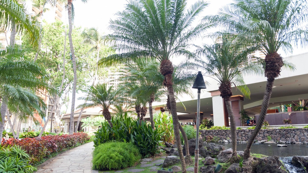 Photo of Outdoor in Waikiki