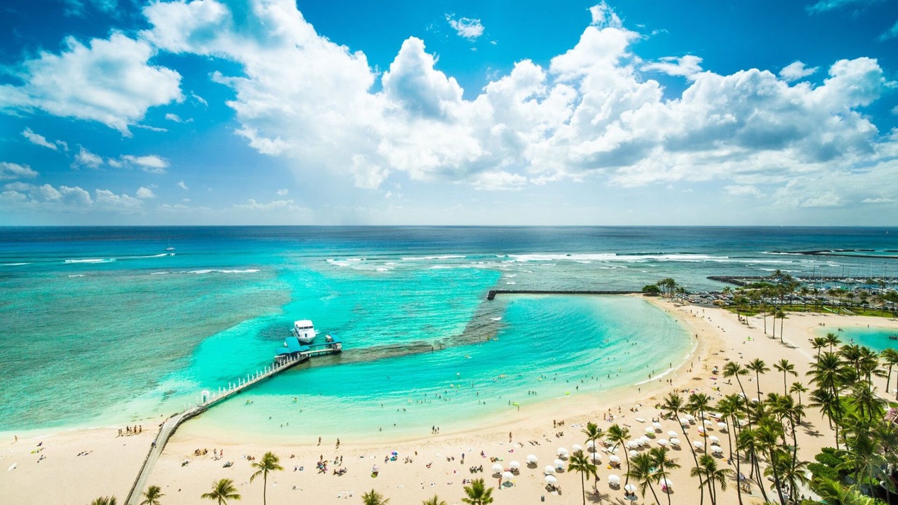 Photo of Others in Waikiki