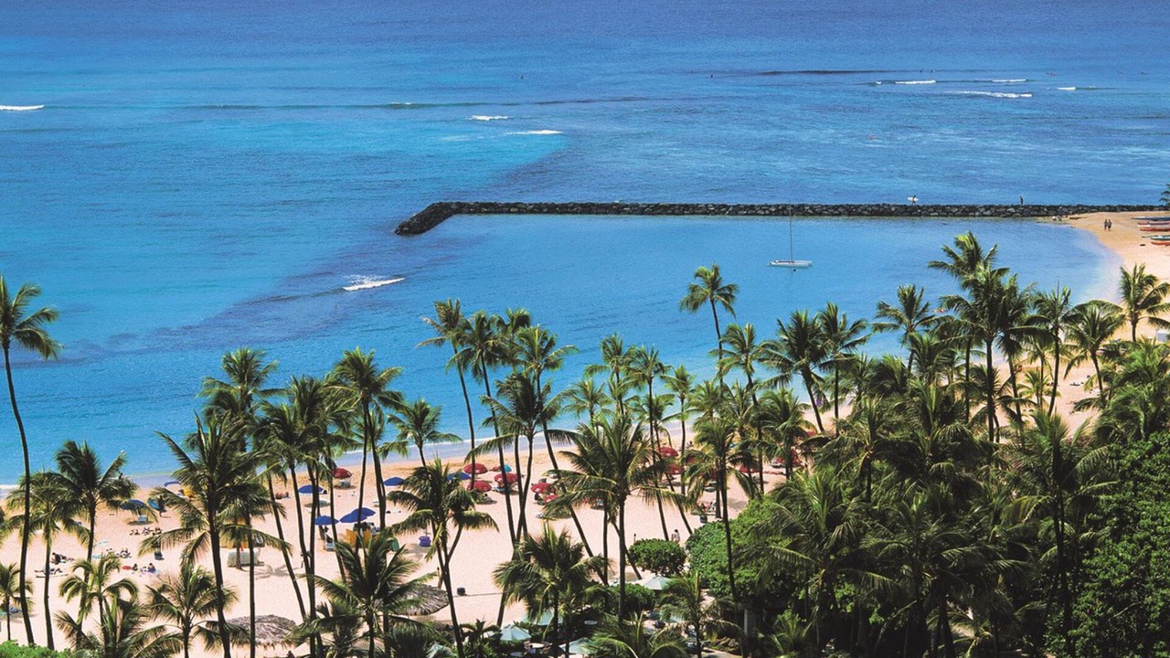 Photo of Others in Waikiki
