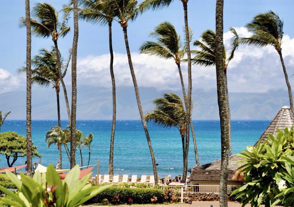 Photo of Outdoor in Napili