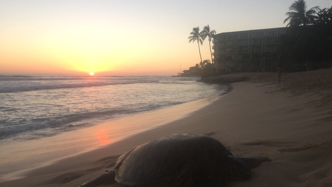Photo of Others in Makaha