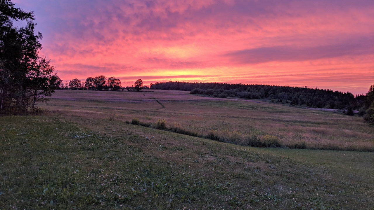 Photo of Others in New Sweden