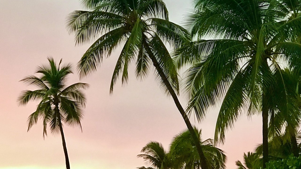 Photo of Others in McCully - Moiliili