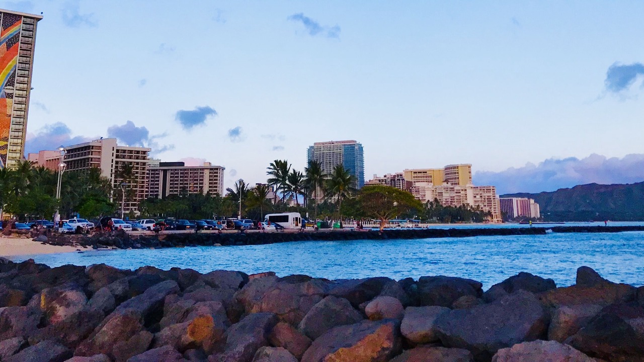 Photo of Others in McCully - Moiliili