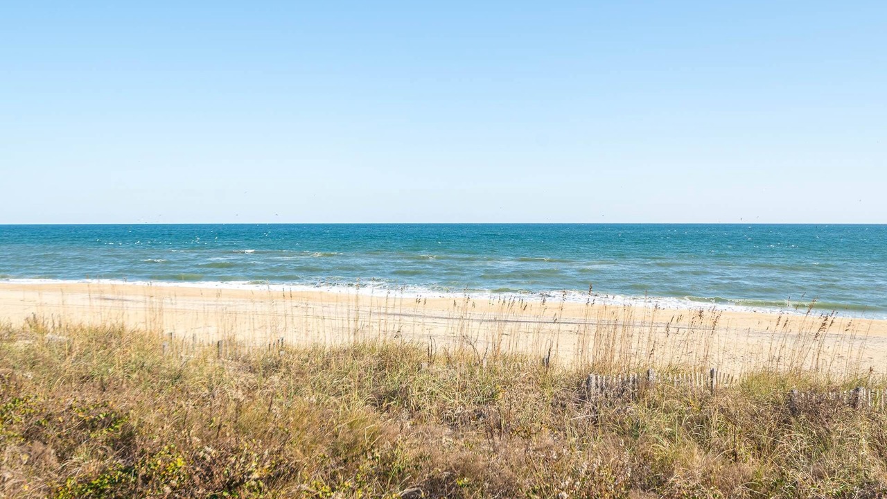 Photo of Others in Carolina Dunes