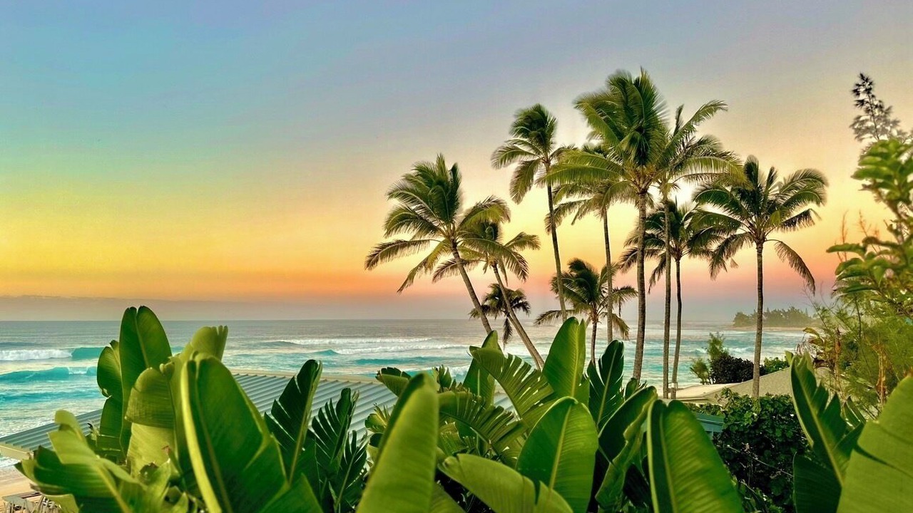 Photo of Others in Pupukea