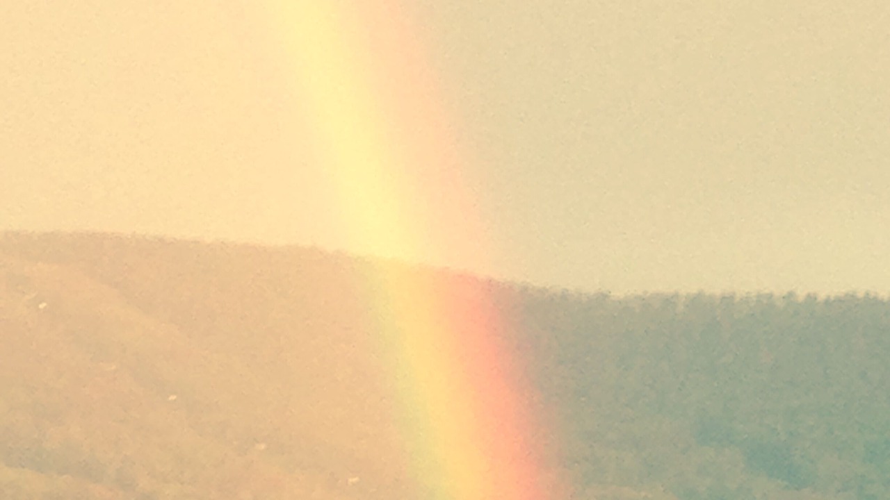 Photo of Others in Windham