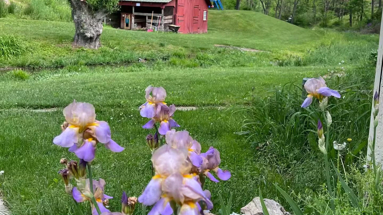 Photo of Outdoor in Robesonia