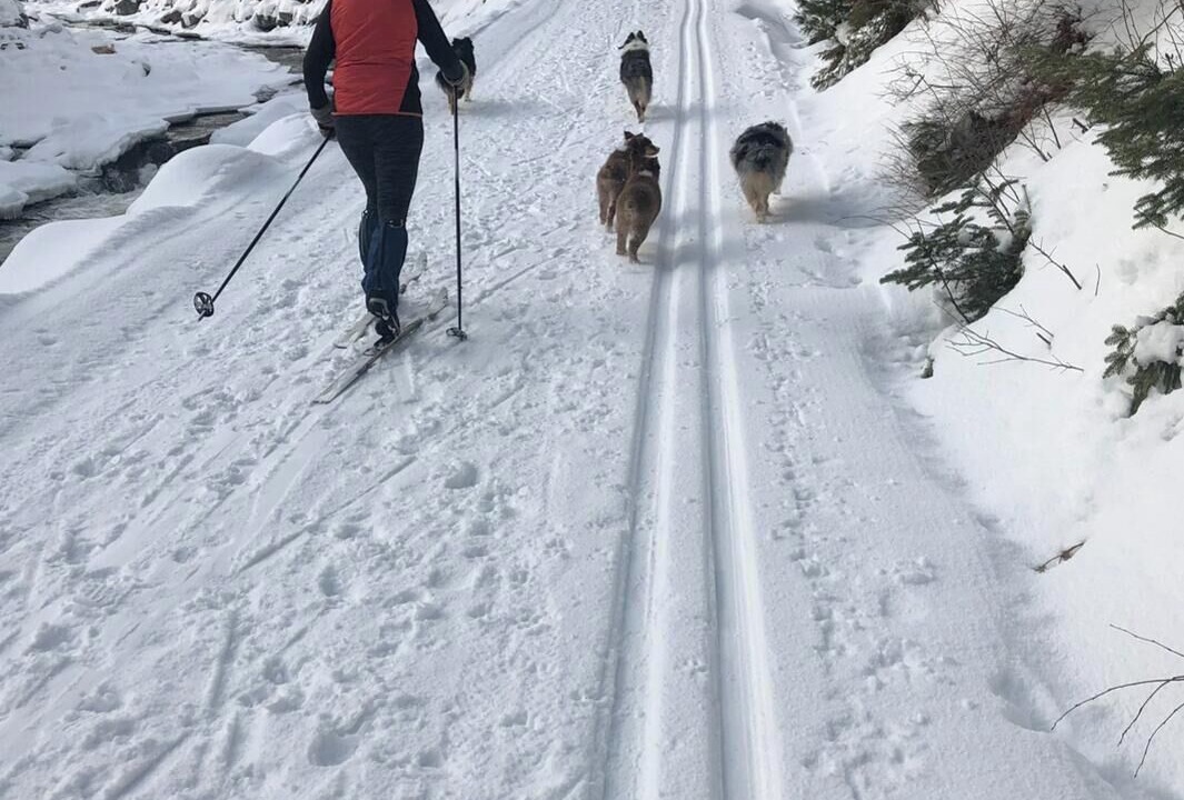 Photo of Others in Carrabassett Valley