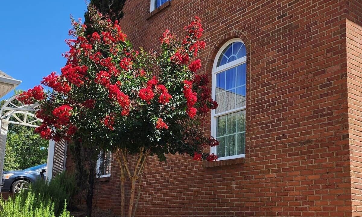 Photo of Outdoor in Douglasville
