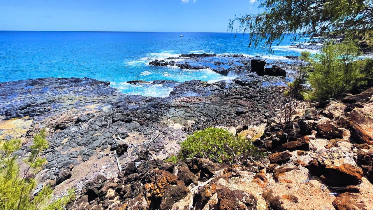 Photo of Others in Poipu
