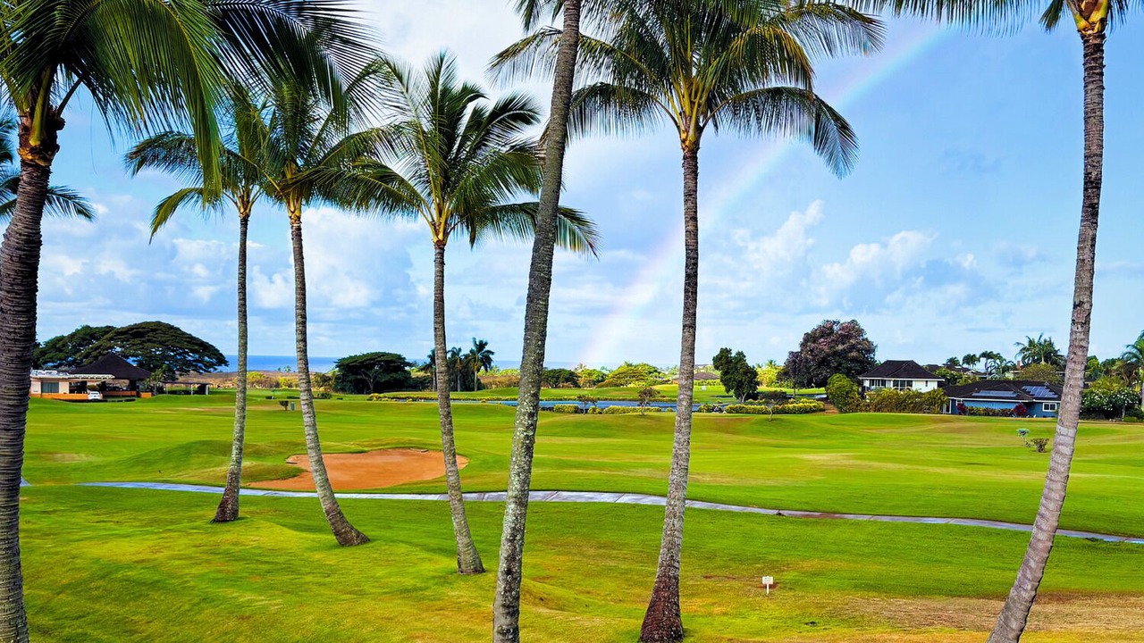 Photo of Others in Poipu