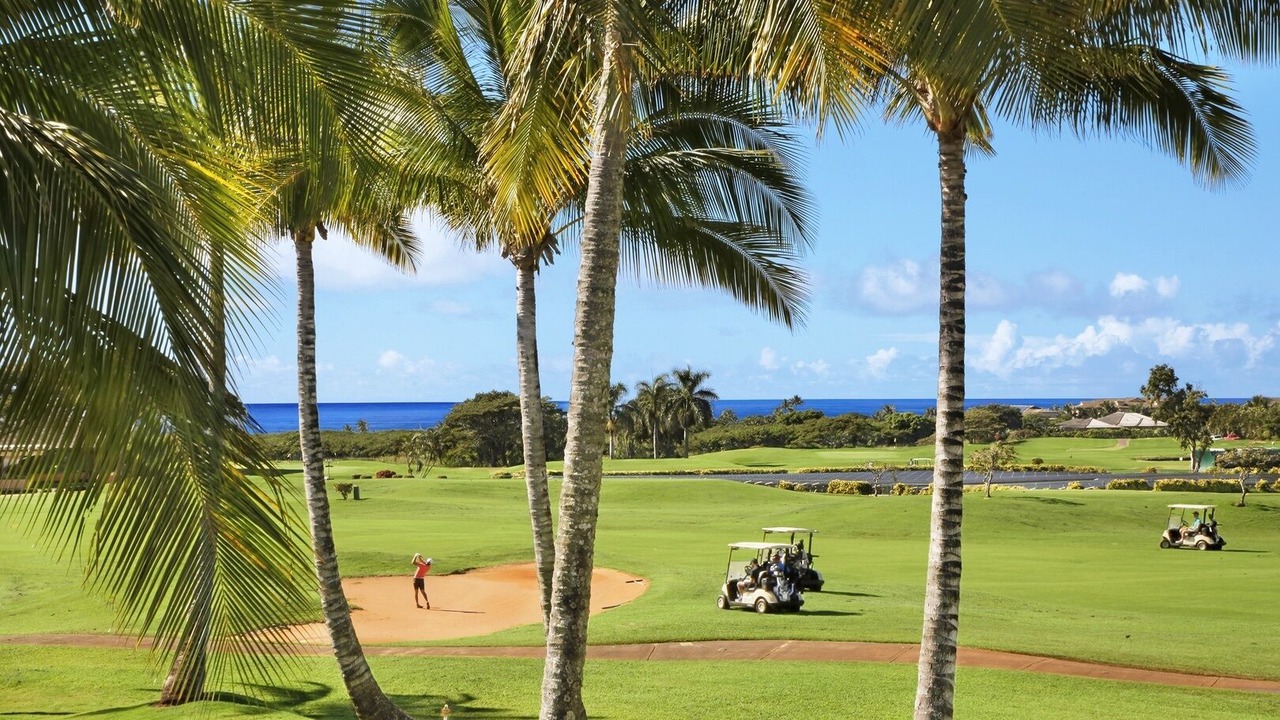 Photo of Others in Poipu