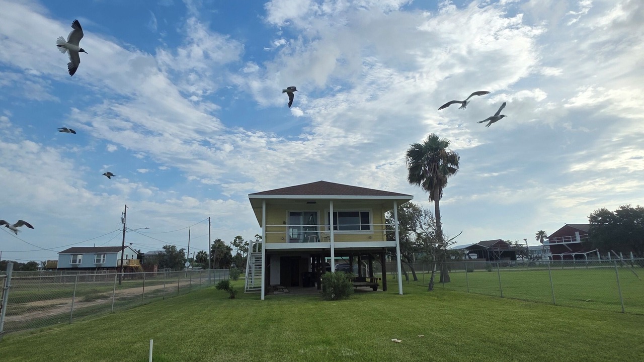 Photo of Outdoor in Dickinson