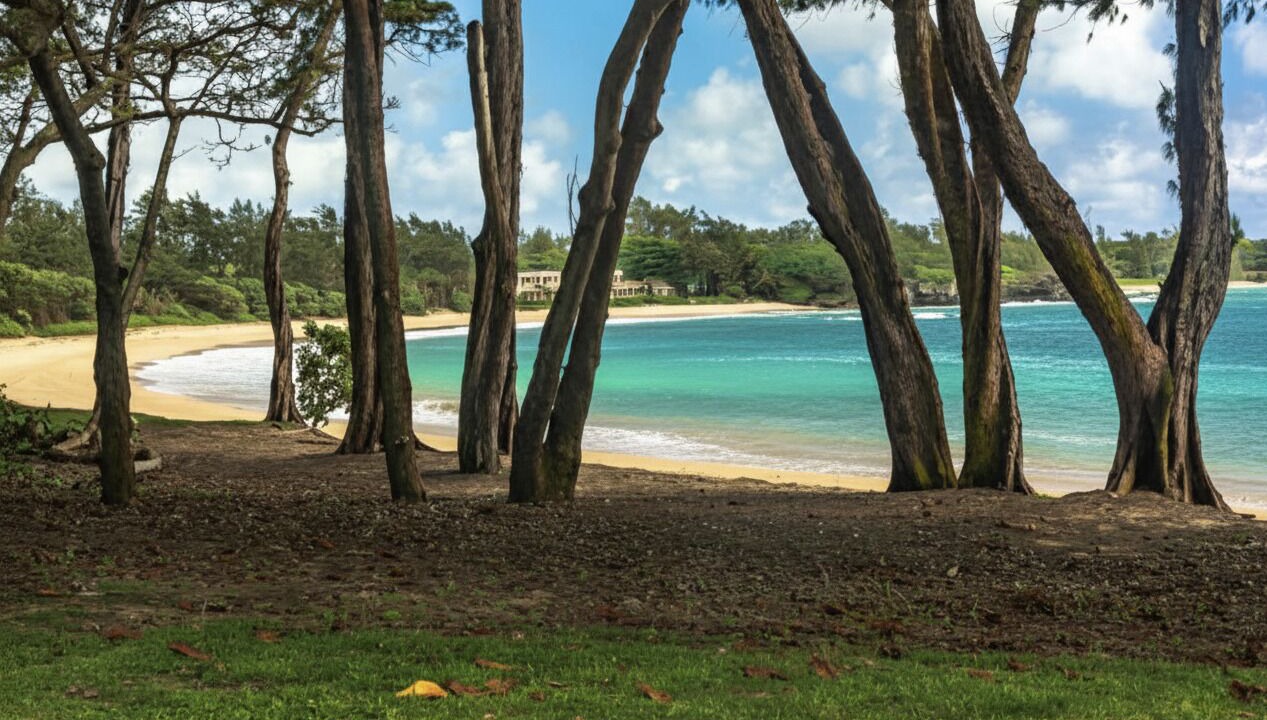 Photo of Others in Hauula