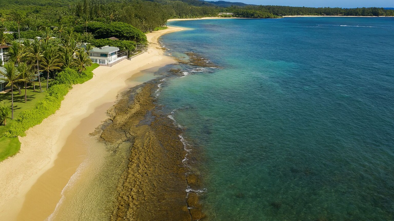 Photo of Others in Hauula