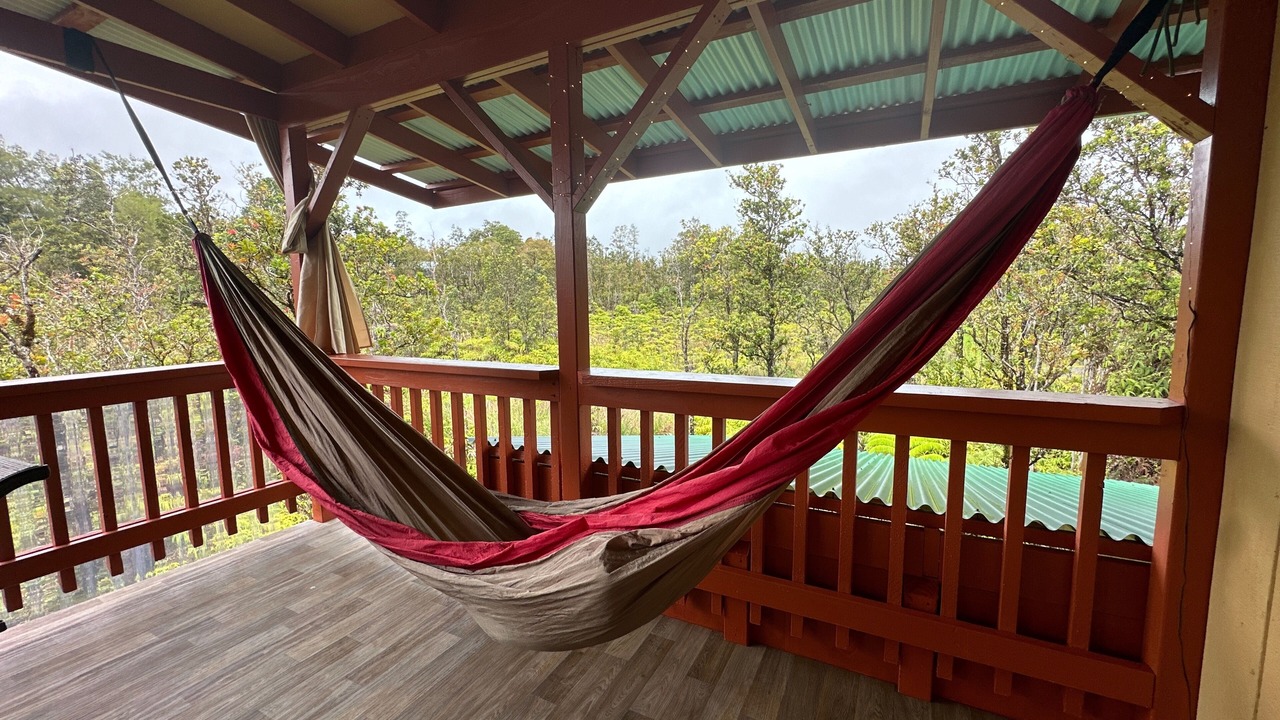 Photo of Outdoor in Fern Forest