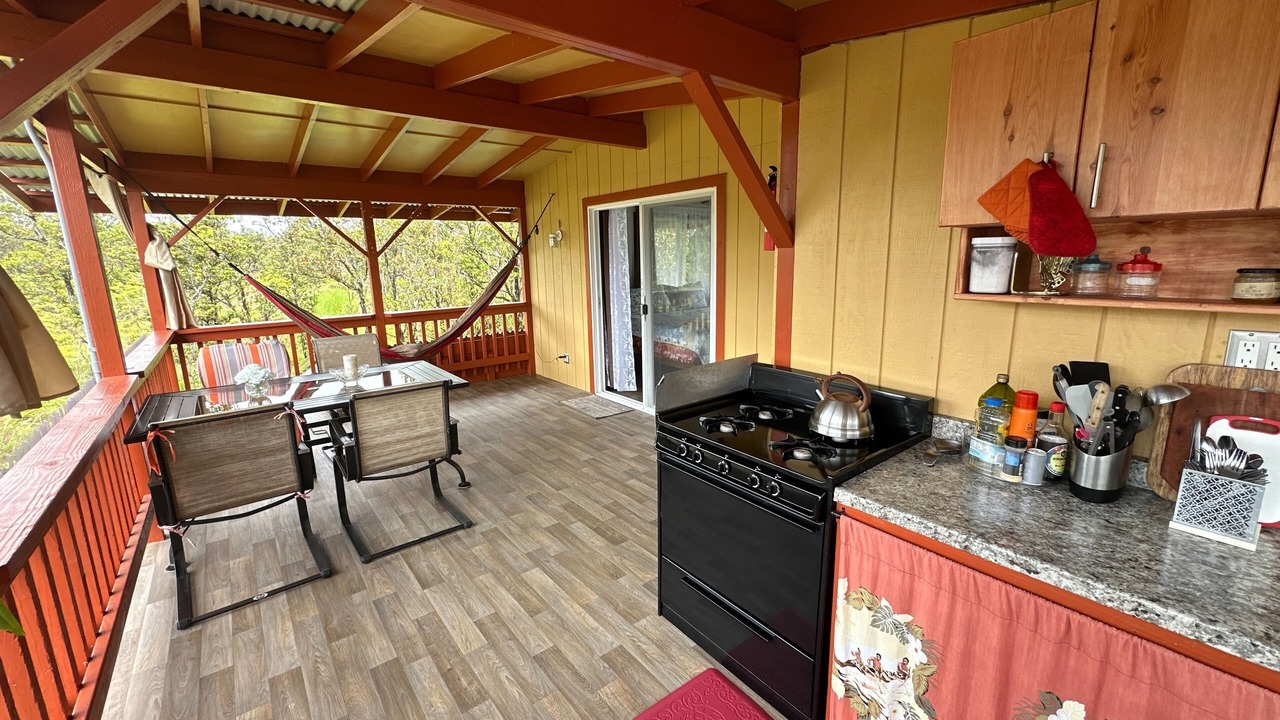 Photo of Outdoor in Fern Forest