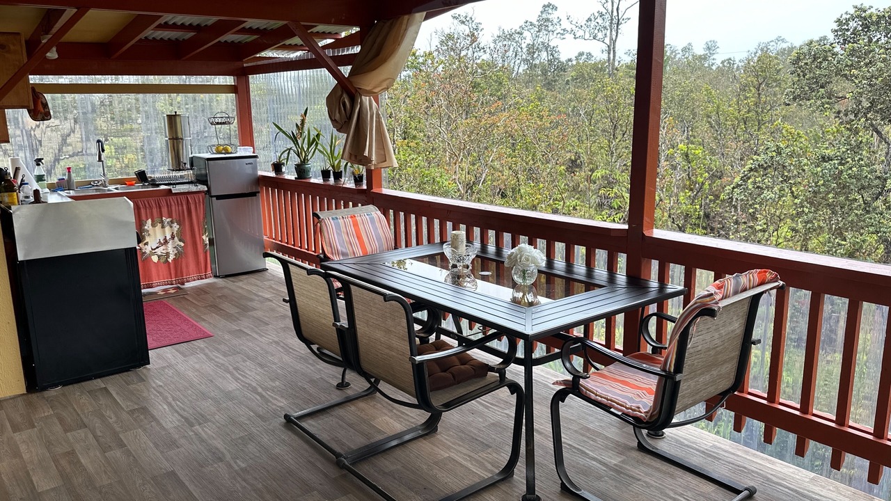 Photo of Outdoor in Fern Forest
